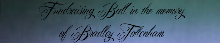 Website of Fundraising Ball