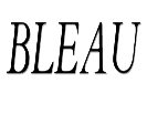 BLEAU