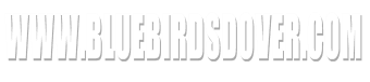 Www.bluebirdsdover.com