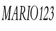 Mario123