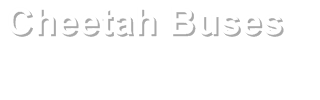 Cheetah Buses