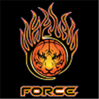 ChicagoForce Basketball