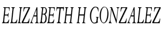 Elizabeth H Gonzalez