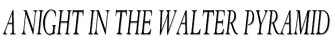 A night in the Walter Pyramid