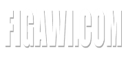 figawi.com