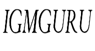 igmGuru