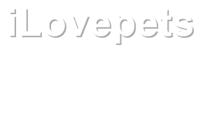 iLovepets