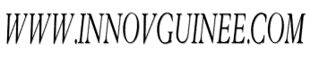 Www.innovguinee.com