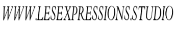 Www.lesexpressions.studio