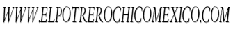 www.elpotrerochicomexico.com