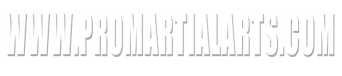 www.promartialarts.com