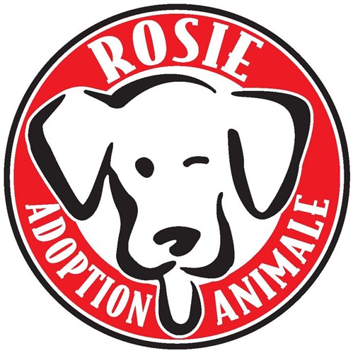 Rosie Animal Adoption