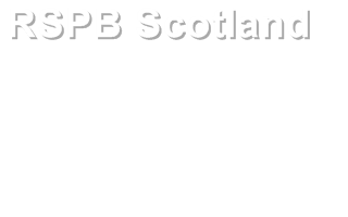 RSPB Scotland