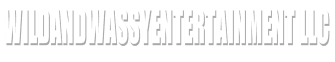 WILDANDWASSYENTERTAINMENT LLC