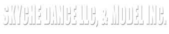 SkyChe Dance LLC, & Model Inc.