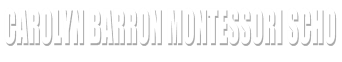 Carolyn Barron Montessori Scho