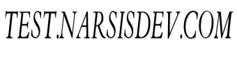 test.narsisdev.com