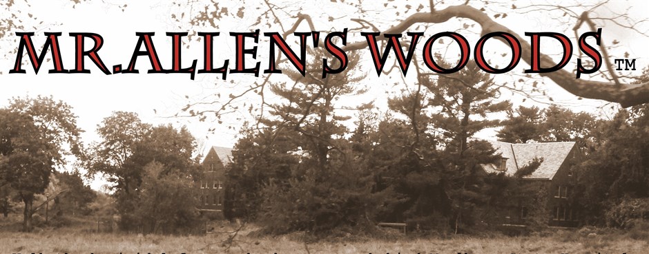 offensive studios llc