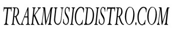 trakmusicdistro.com