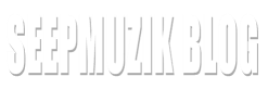 Seepmuzik Blog