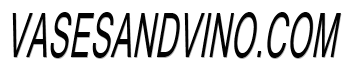 vasesandvino.com