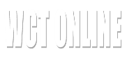WCT Online