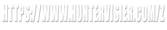 https://www.huntervisier.com/